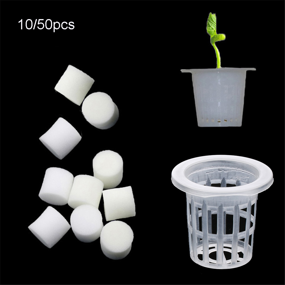 Aquarium Planted Seeds - 10/50 stücke Langlebige Pflanzen Aquarium Soilless