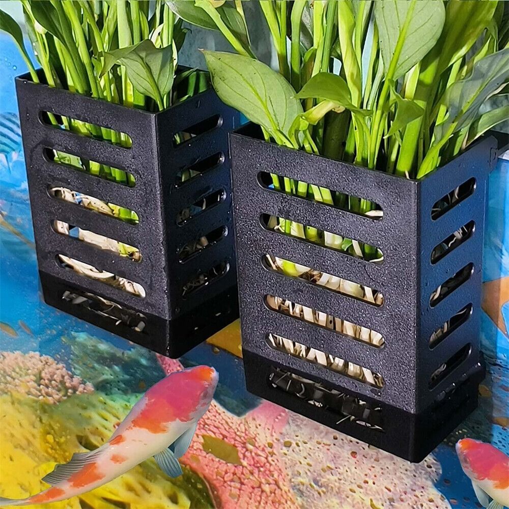 Aquarium Aquarium Pflanzen hal – Emersed Plants Aquarium Bewertung und Preis
