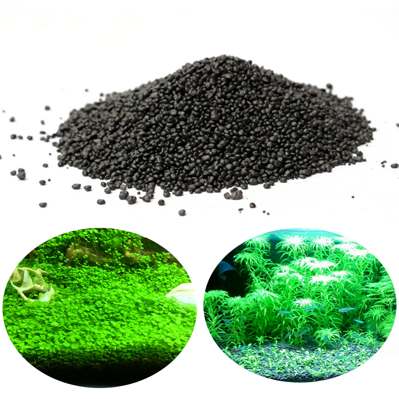 Aquarium Wasser Gras Schlamm A – Aquarium Planted Seeds Bewertung und Preis