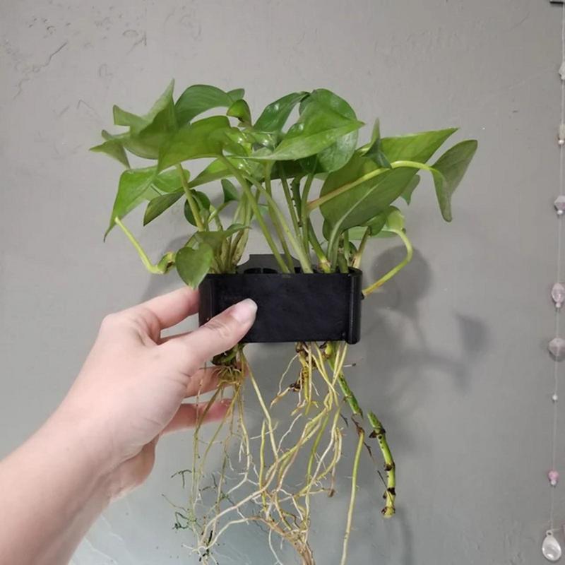 Hängender Aquarium Pflanzen ha – Emersed Plants Aquarium Bewertung und Preis