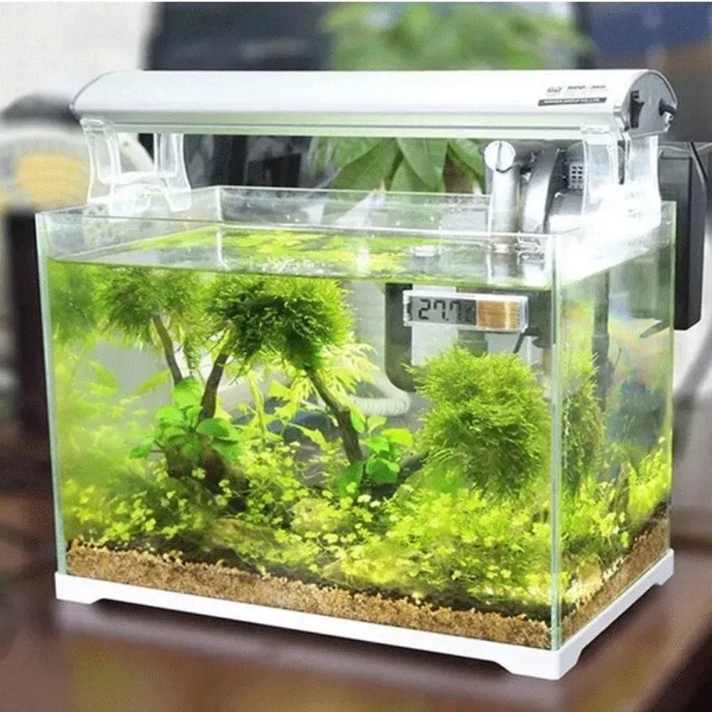 1PC Aquarium Thermometer Elekt – Planted Aquarium Temperature Bewertung und Preis