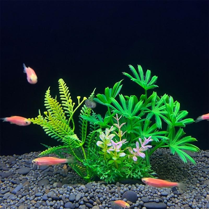 Künstliche Aquarium-Dekoration – Planted Aquarium Best Fish Bewertung und Preis