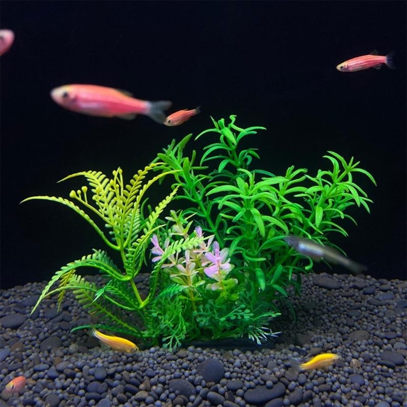 Künstliche Aquarium-Dekoration – Planted Aquarium Best Fish Bewertung und Preis