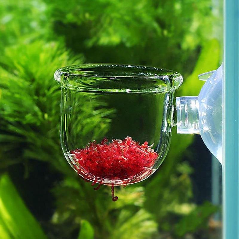 Acryl Wasserpflanze Tasse Aqua – Aquarium Planted Seeds Bewertung und Preis