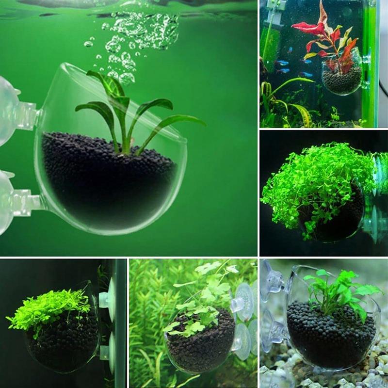 Acryl Wasserpflanze Tasse Aqua – Aquarium Planted Seeds Bewertung und Preis
