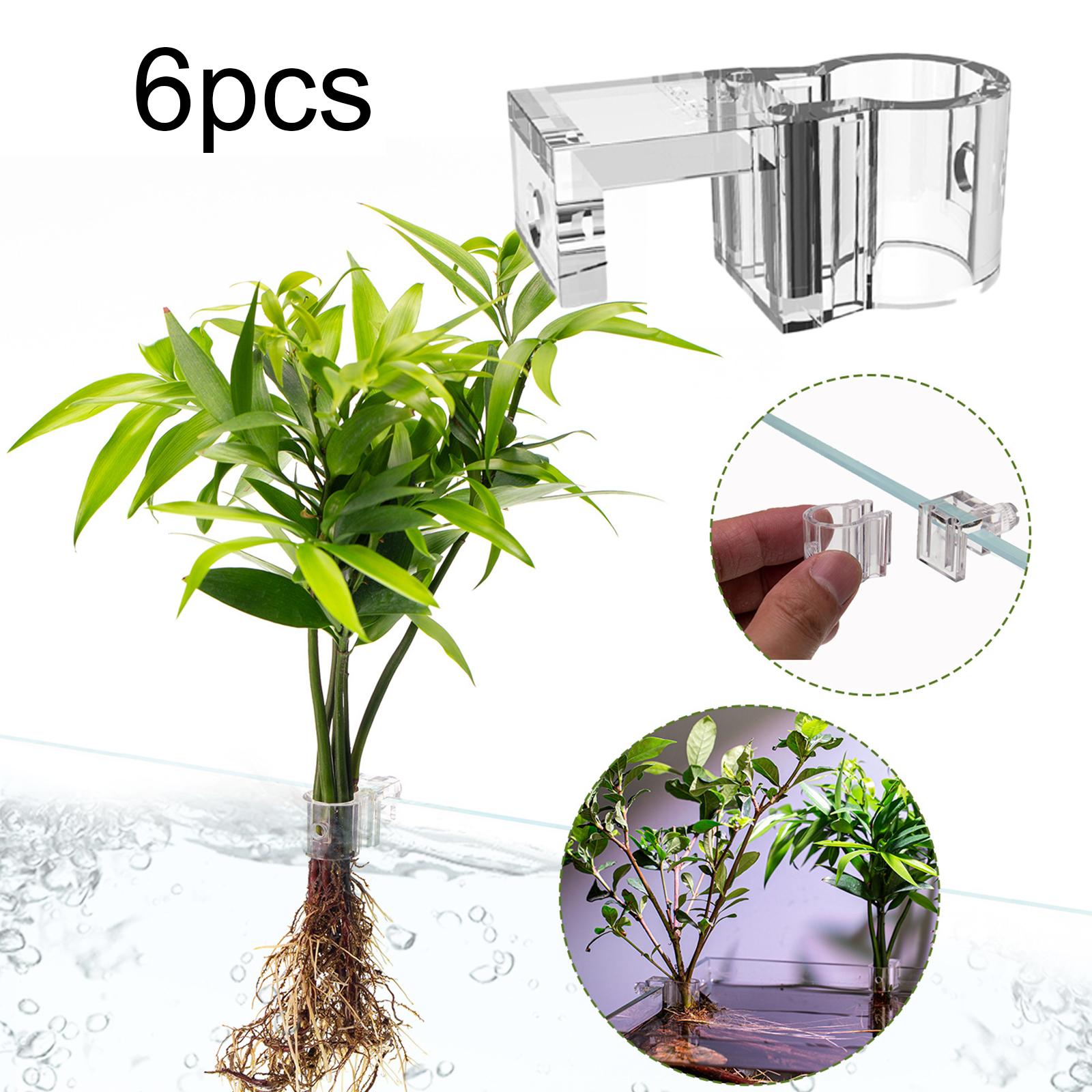 6 Stück Aquarium-Pflanzenhalte – Planted Aquarium Mini Bewertung und Preis