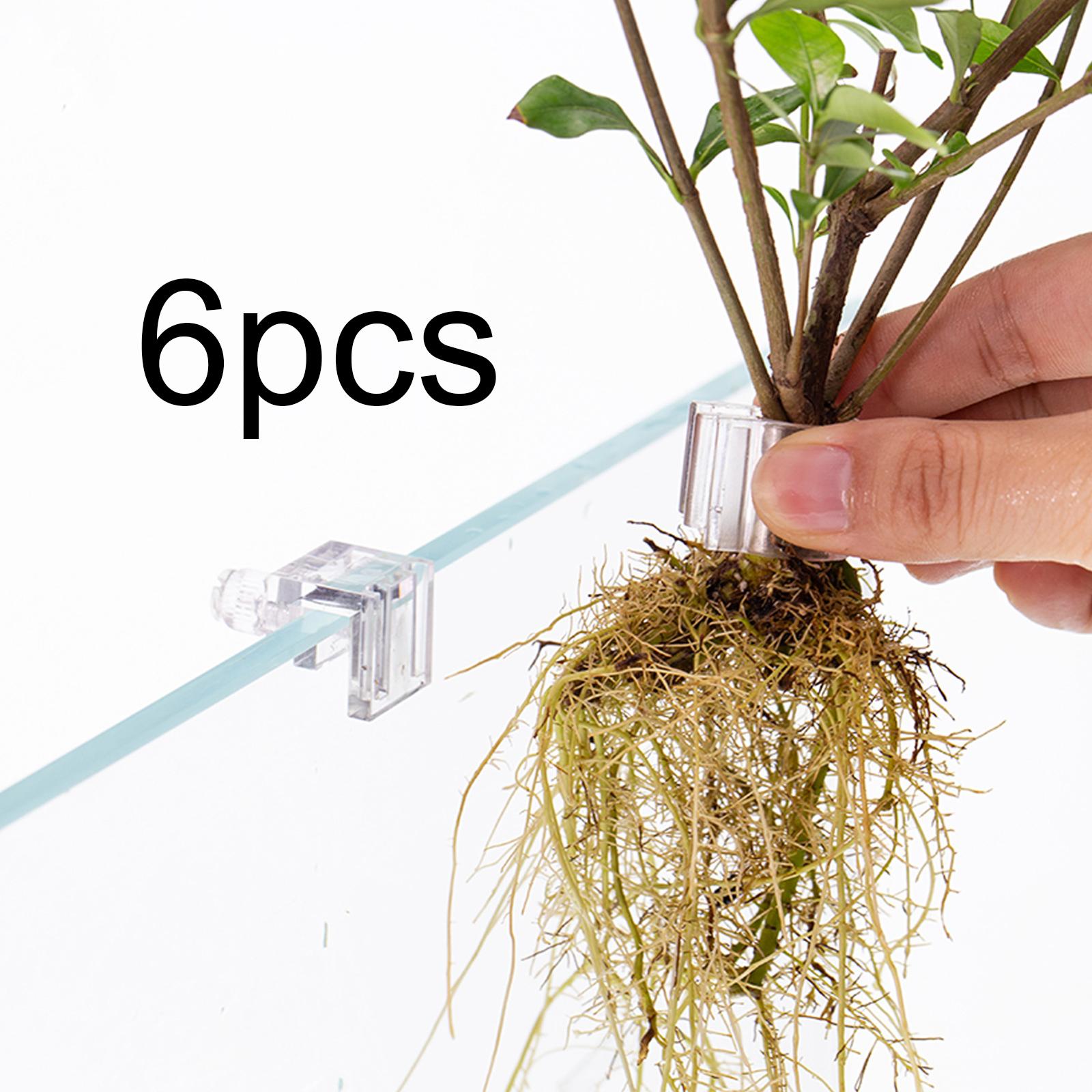 6 Stück Aquarium-Pflanzenhalte – Planted Aquarium Mini Bewertung und Preis