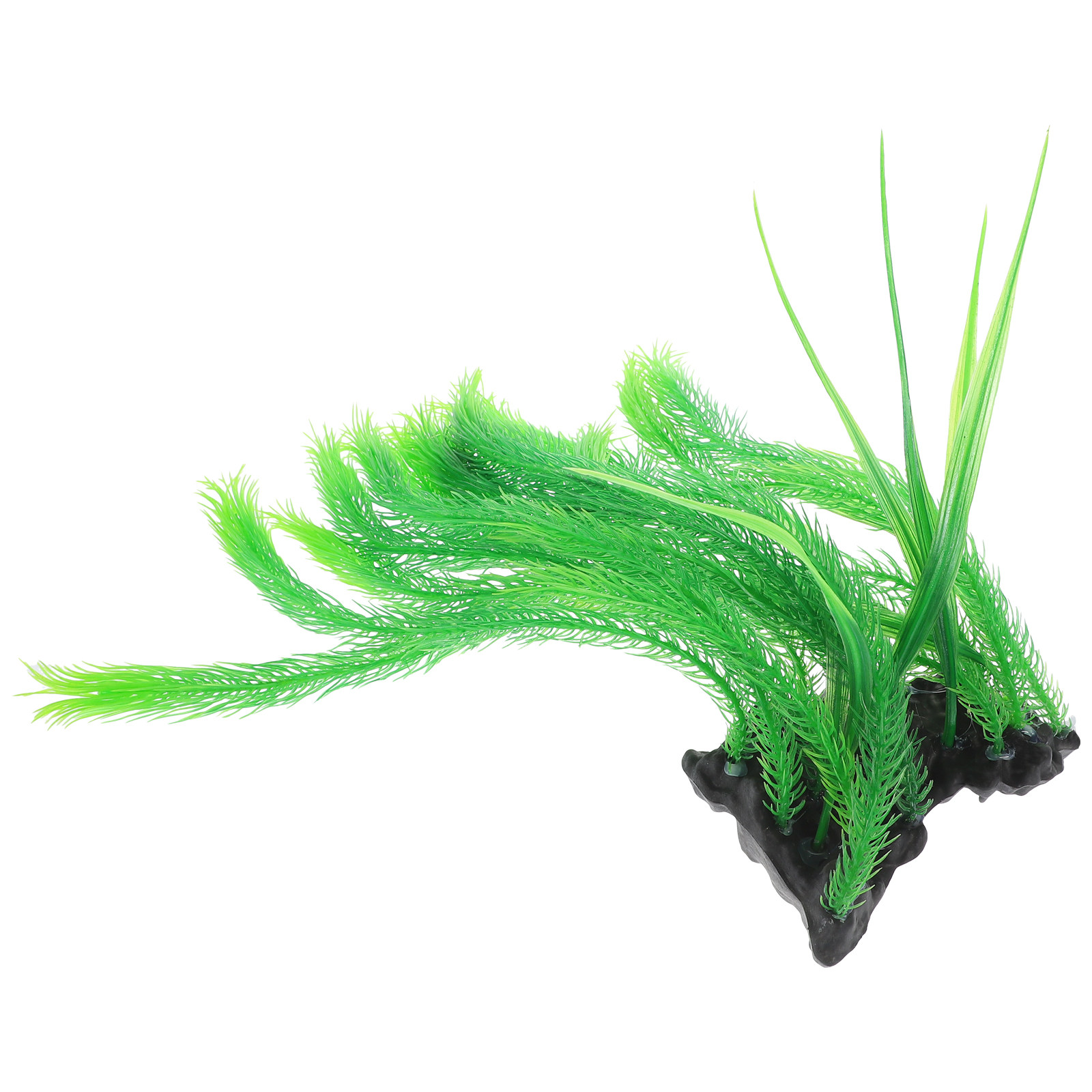 Realistische Künstliche Hornpf – Non Planted Aquarium Fish Bewertung und Preis