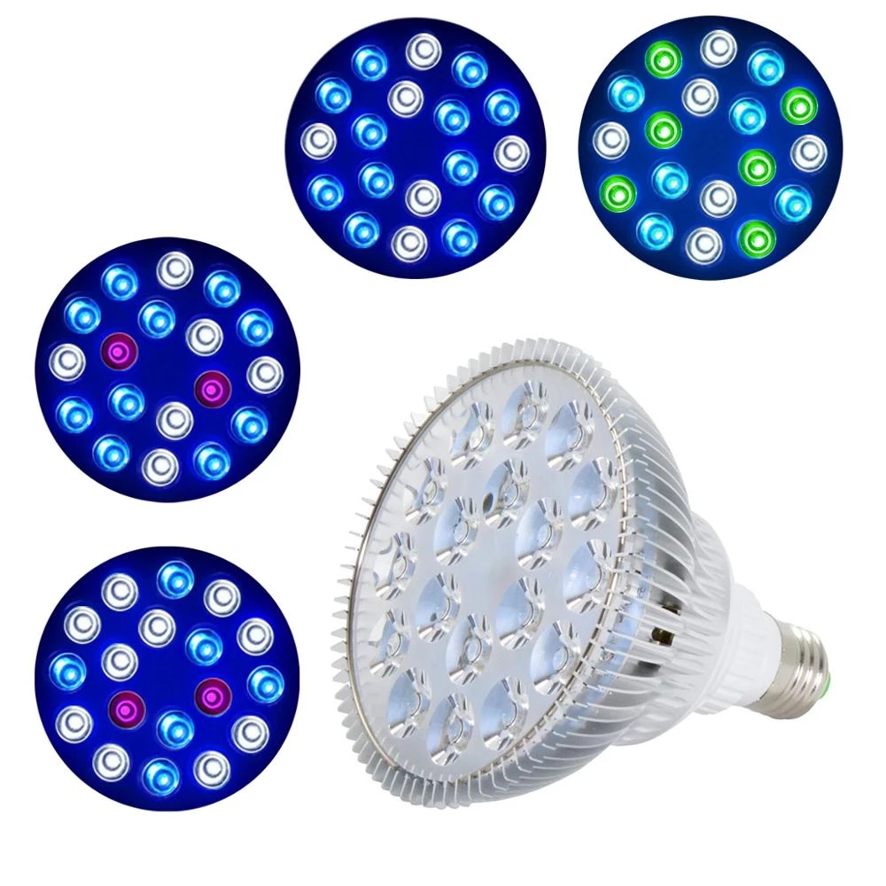 E27 LED Pflanze wachsen Glühbi – Aquarium Planted Seeds Bewertung und Preis