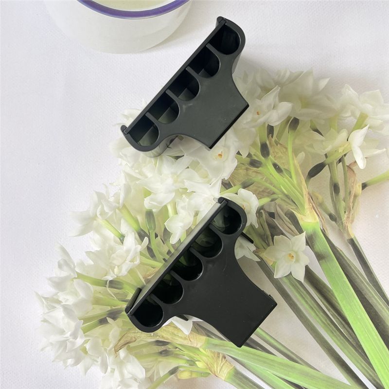 ABUN 2 Stück Aquarium-Pflanzen – Emersed Plants Aquarium Bewertung und Preis