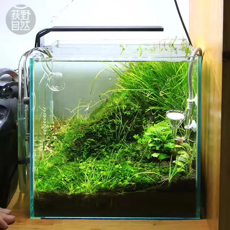 Spirituosen C-Serie ADA-Stil P – Planted Aquarium Mini Bewertung und Preis