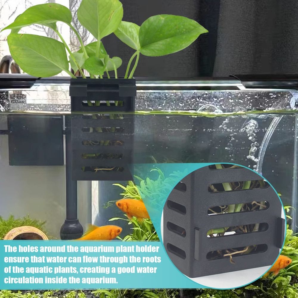 Wasserpflanzen-Landschafts-Aqu – Emersed Plants Aquarium Bewertung und Preis
