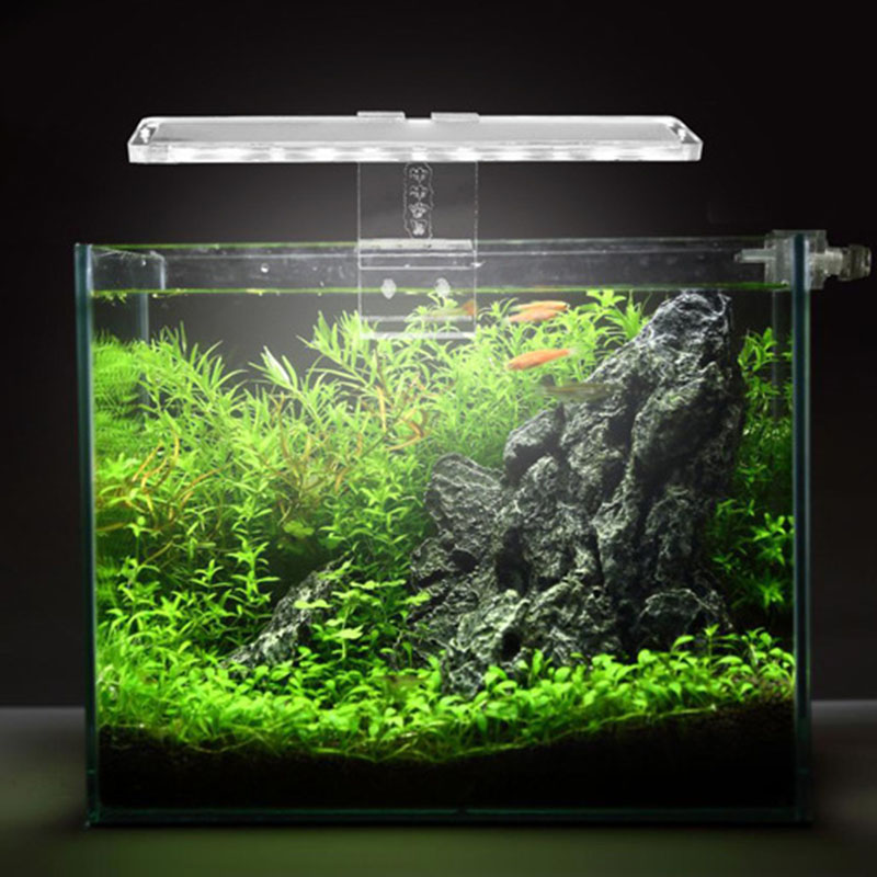 LED Aquarium Lampe Pflanze Lic – Planted Aquarium Best Fish Bewertung und Preis