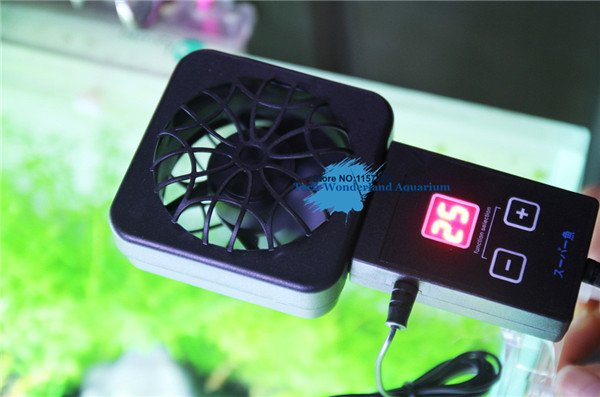 Mini nano clip hängen auf lüft – Planted Aquarium Mini Bewertung und Preis