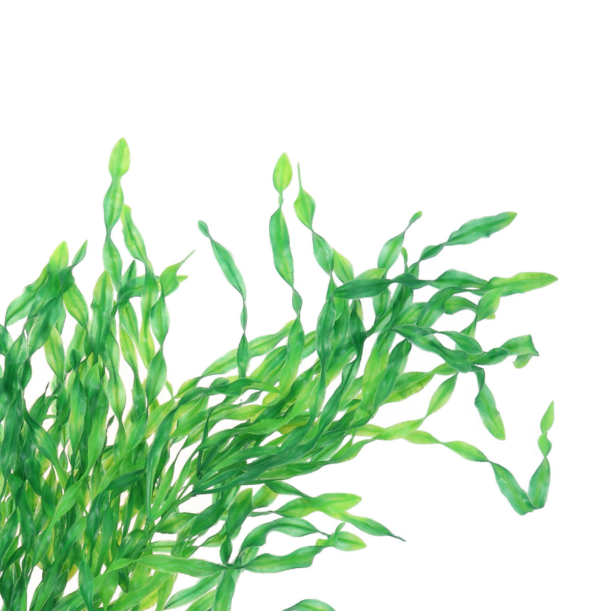 Realistische Aquariumpflanzen, – Non Planted Aquarium Fish Bewertung und Preis