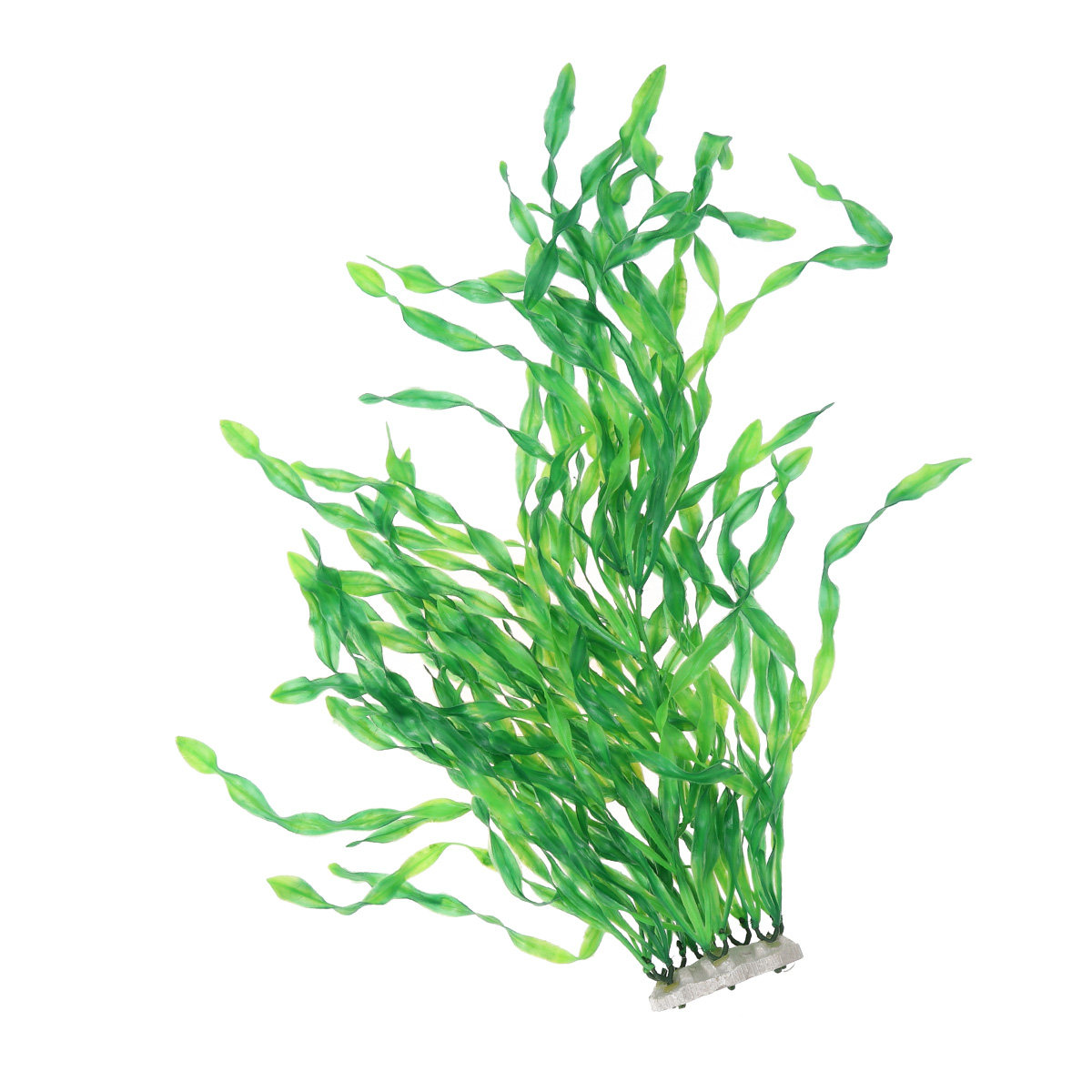 Realistische Aquariumpflanzen, – Non Planted Aquarium Fish Bewertung und Preis