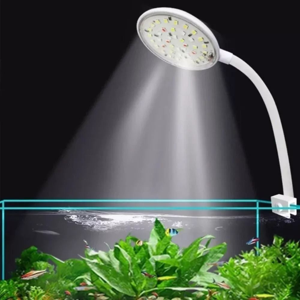 Neue Mini Aquarium Clip Lampe  – Planted Aquarium Mini Bewertung und Preis