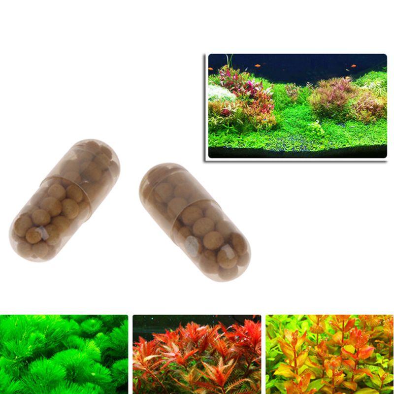 QX2E Aquarium-Lebepflanzendüng – Planted Aquarium Best Fish Bewertung und Preis