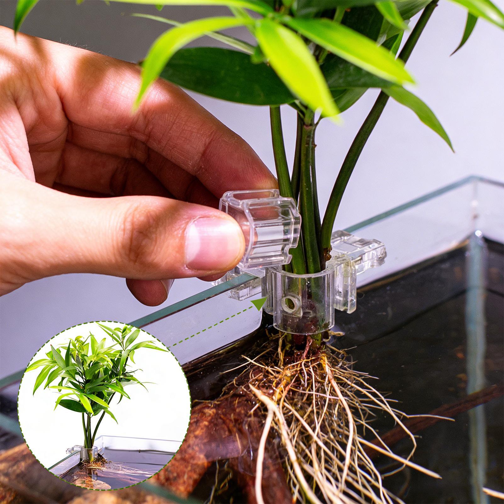 Mini-Aquarium-Pflanztopf 6 Stü – Planted Aquarium Mini Bewertung und Preis