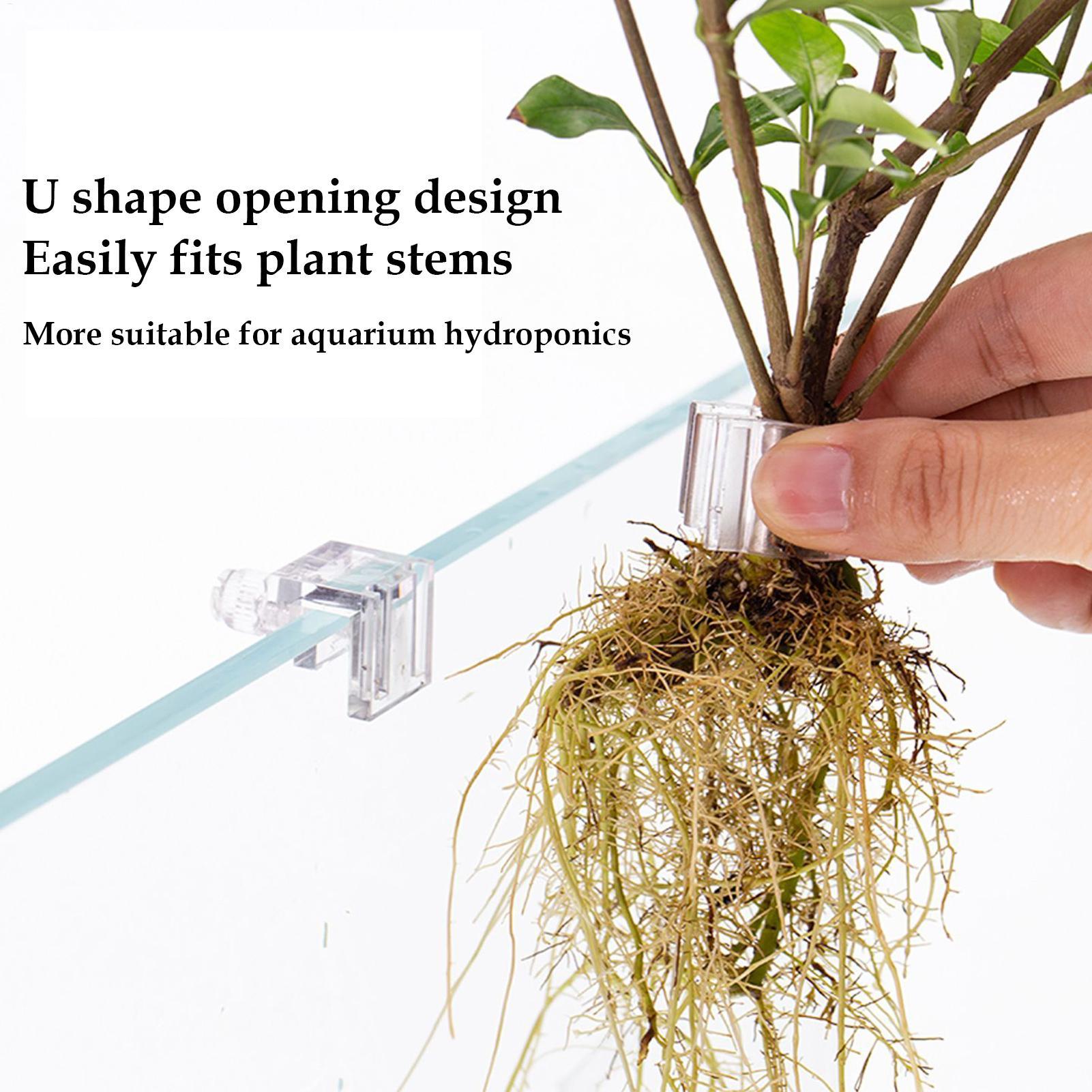 Mini-Aquarium-Pflanztopf 6 Stü – Planted Aquarium Mini Bewertung und Preis