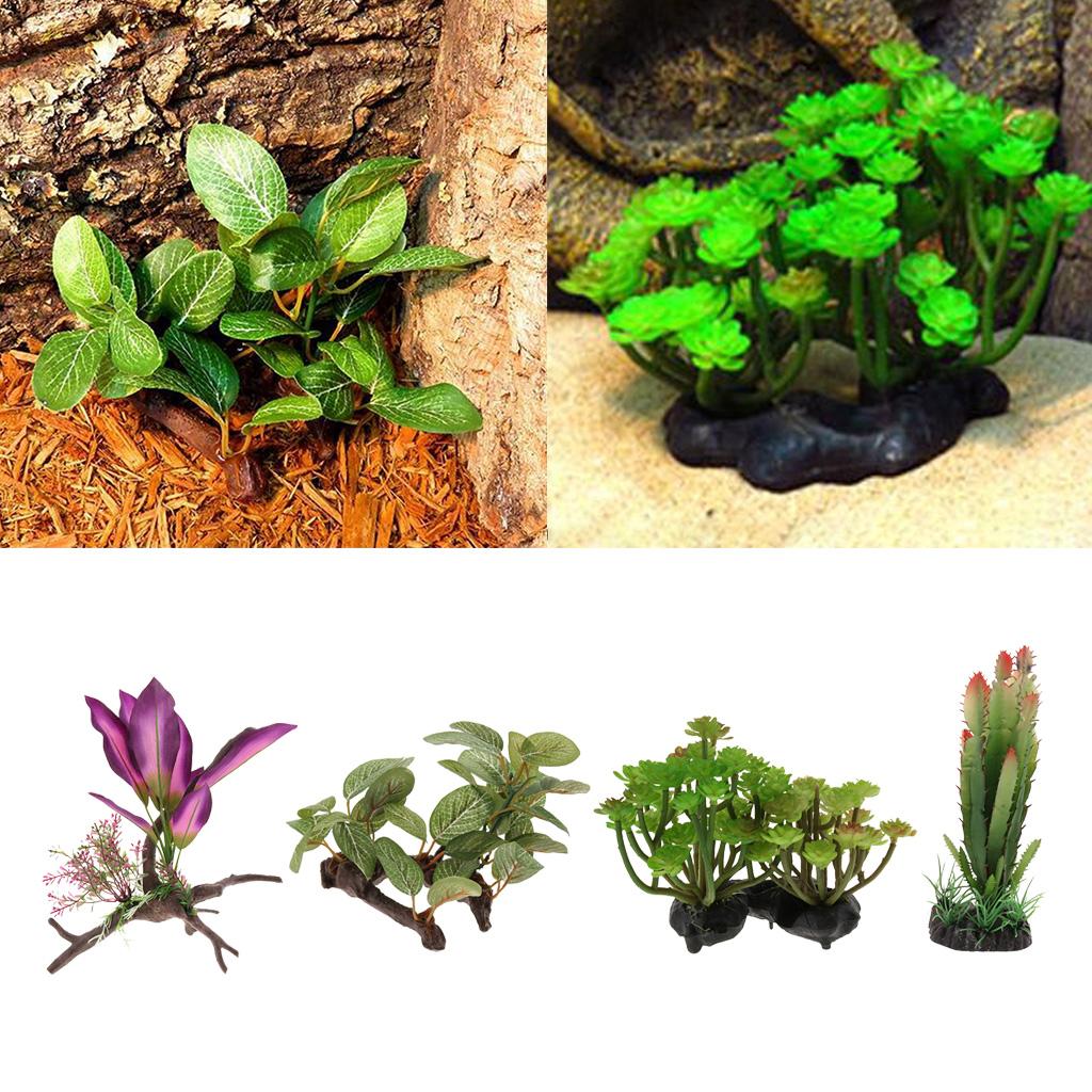 Harz-Simulation Reben-Reptilie – Planted Aquarium Jungle Bewertung und Preis