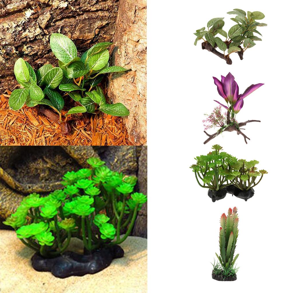 Harz-Simulation Reben-Reptilie – Planted Aquarium Jungle Bewertung und Preis