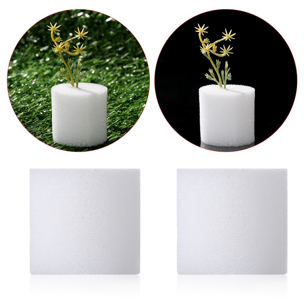 10/50 stücke Durable Garten Li – Aquarium Planted Seeds Bewertung und Preis