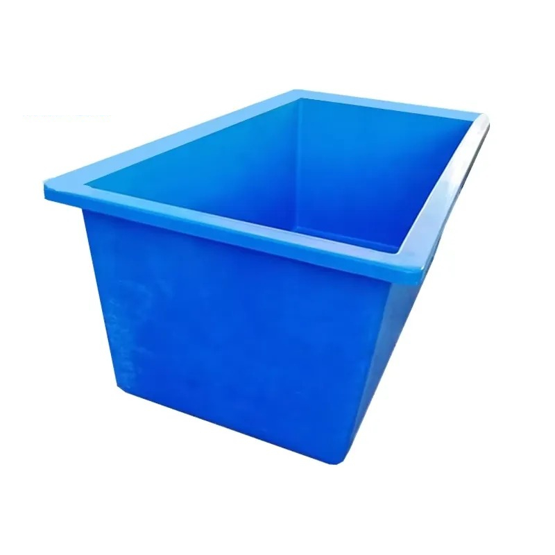 Lebende Pflanzen für Aquarien  – Aquarium Planted Seeds Bewertung und Preis