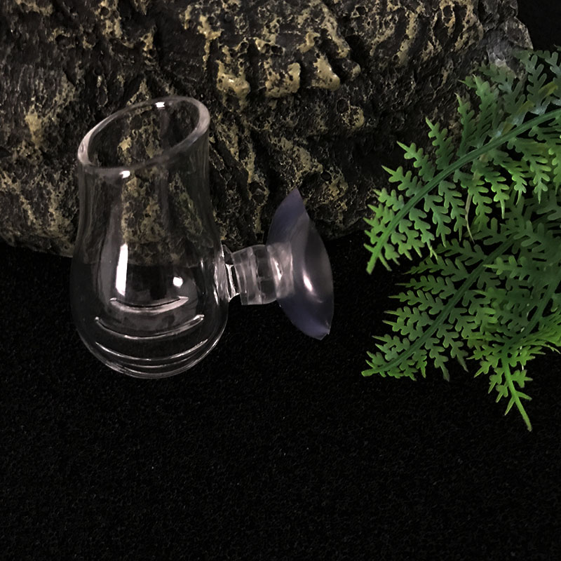 Aquarium Dekoration Hängen Fis – Planted Aquarium Mini Bewertung und Preis