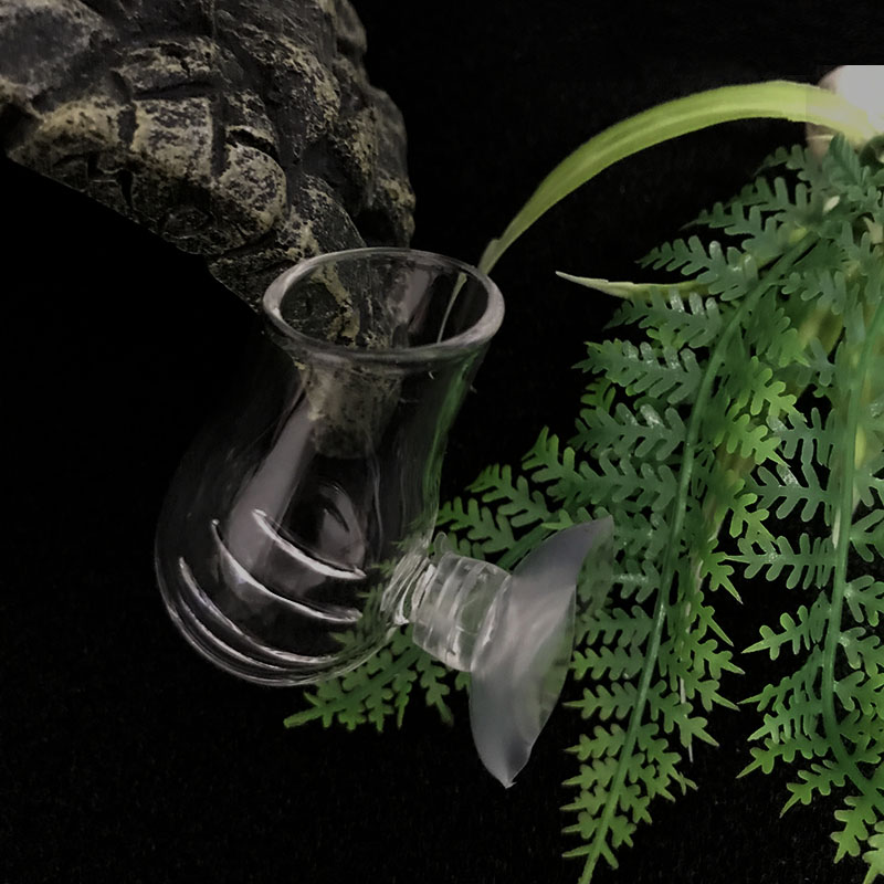 Aquarium Dekoration Hängen Fis – Planted Aquarium Mini Bewertung und Preis