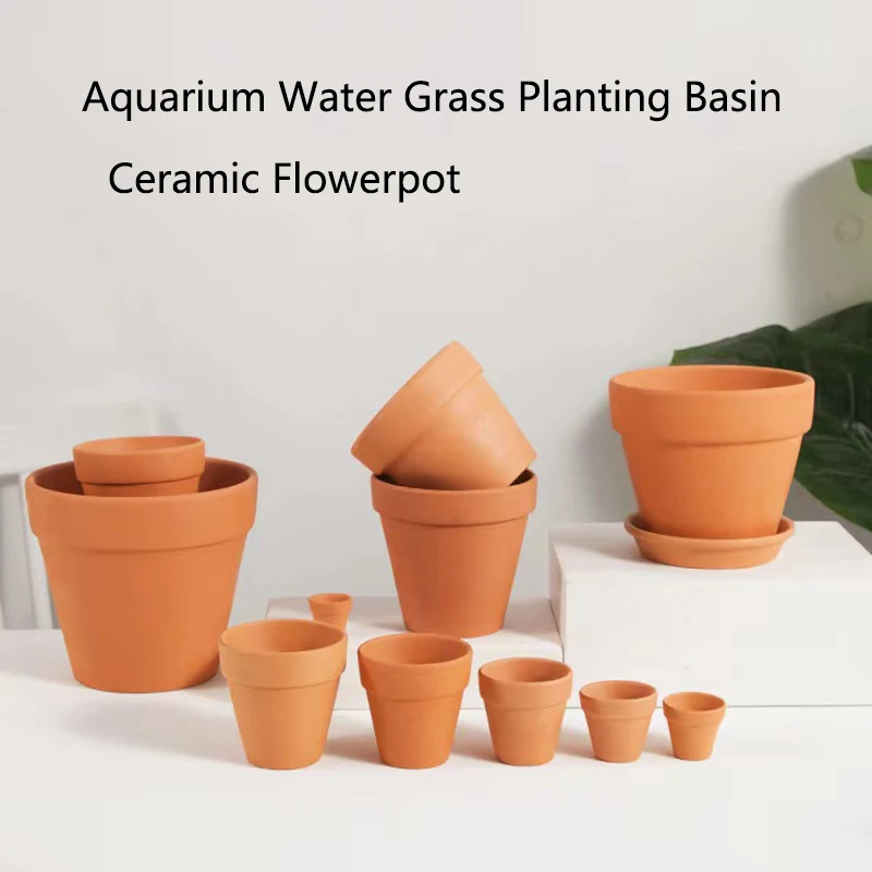 Rot Schlamm Aquarium Dekoratio – Planted Aquarium Mini Bewertung und Preis