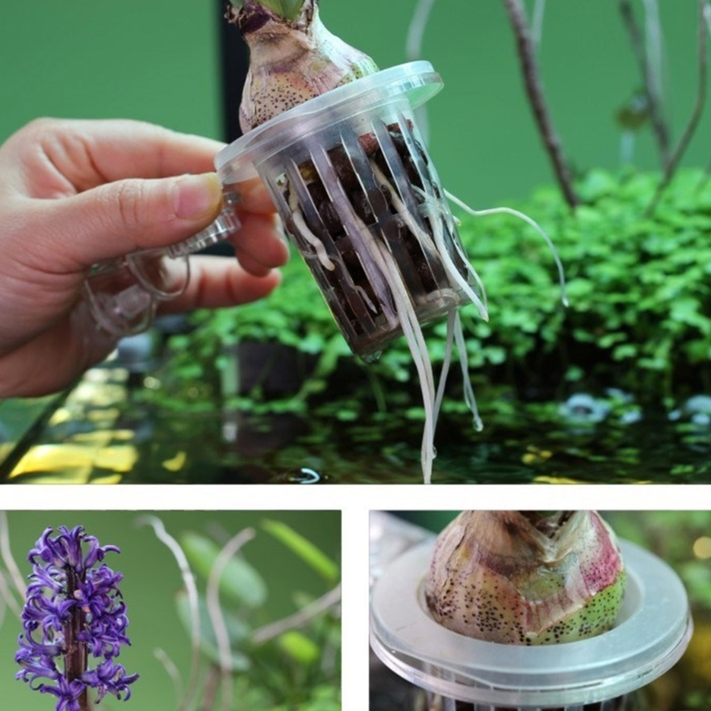 Aquarien Pflanzenständer Pflan – Emersed Plants Aquarium Bewertung und Preis