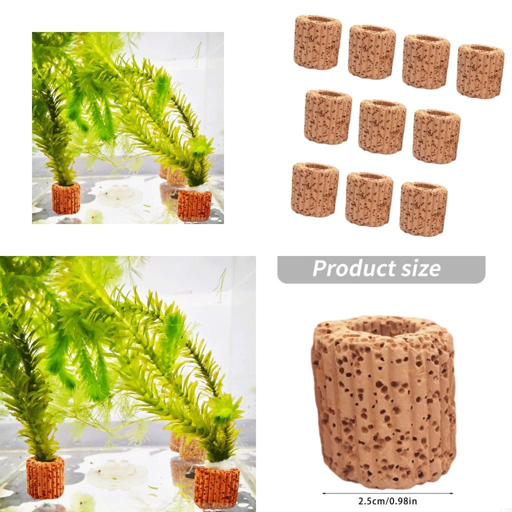 F19B Aquarium-Pflanzenhalter,  – Emersed Plants Aquarium Bewertung und Preis
