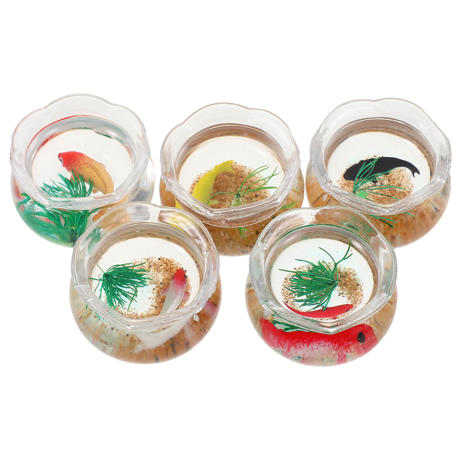5 Stück Mini-Fischbecken, real – Planted Aquarium Mini Bewertung und Preis