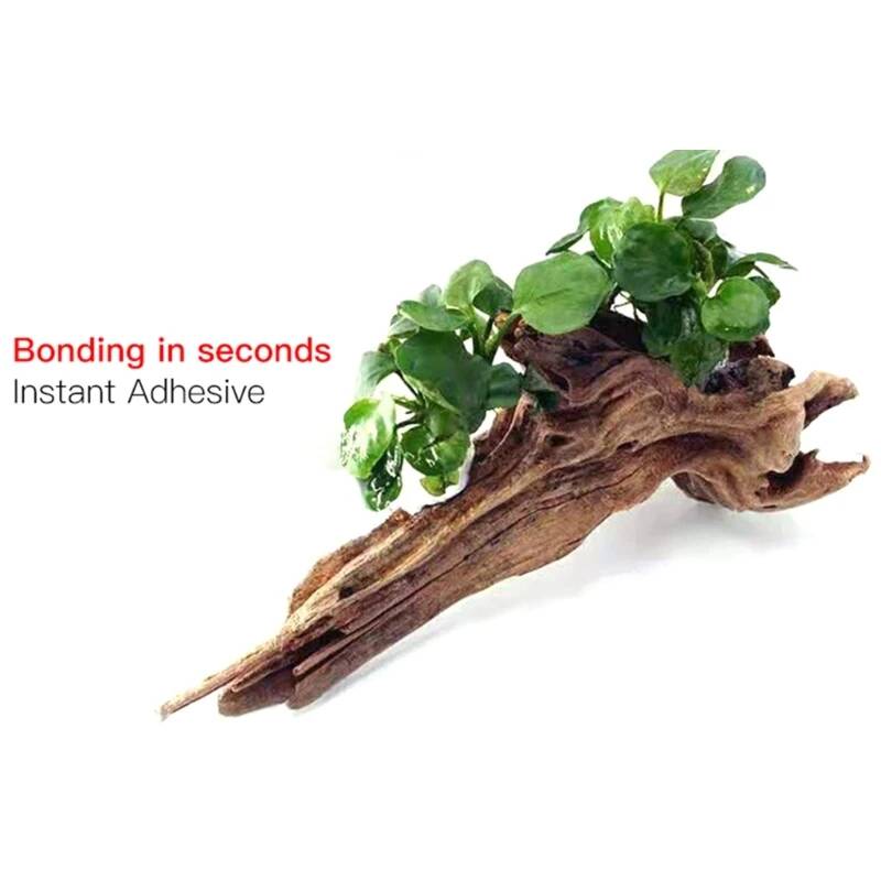 1,8oz/3,5oz Mooskleber Schnell – Non Planted Aquarium Fish Bewertung und Preis